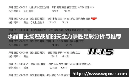水晶宫主场迎战加的夫全力争胜足彩分析与推荐
