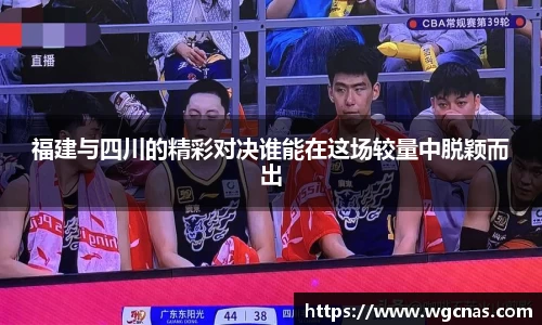 中欧体育网址