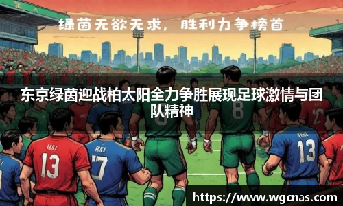 中欧体育官网