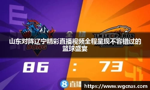 山东对阵辽宁精彩直播视频全程呈现不容错过的篮球盛宴