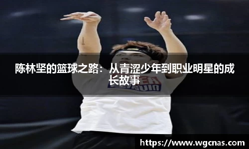 中欧体育官网