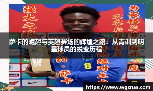 中欧体育官网