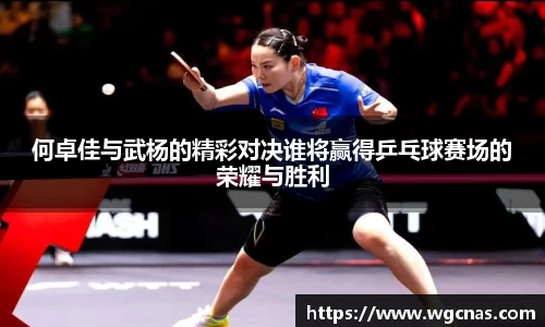 中欧体育网址